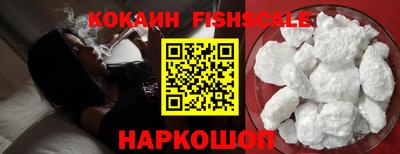 бошки Тара